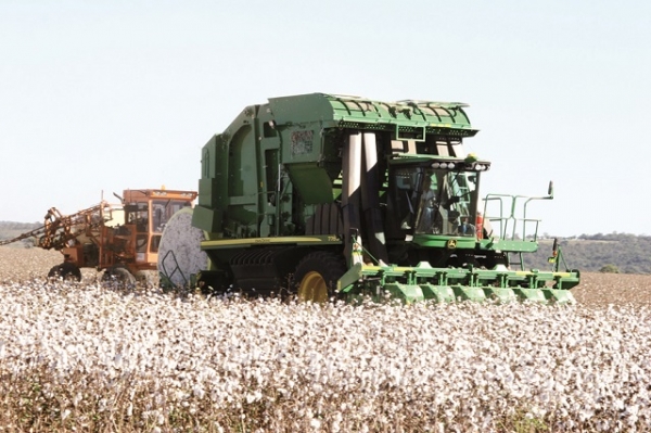 Exportações de produtos do agronegócio registram US$ 9,9 bilhões em fevereiro