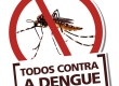 Cocalinho Contra a Dengue